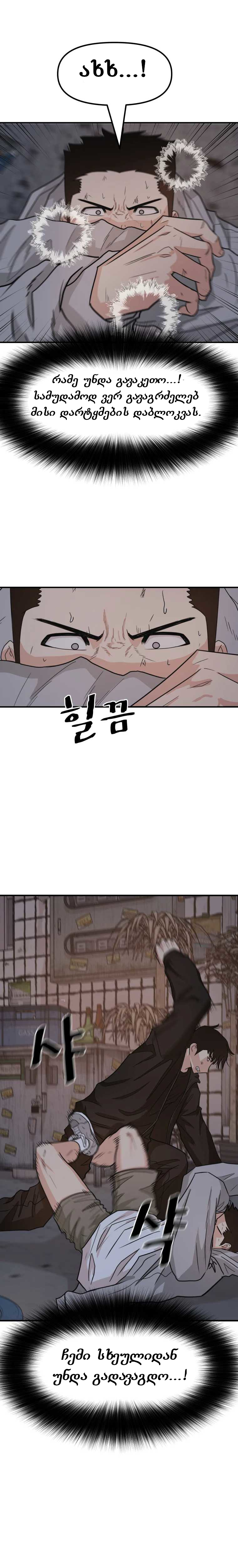 Page (3)
